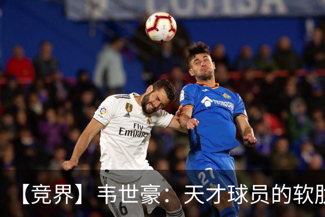 【竞界】韦世豪：天才球员的软肋 洪七公效应的外溢